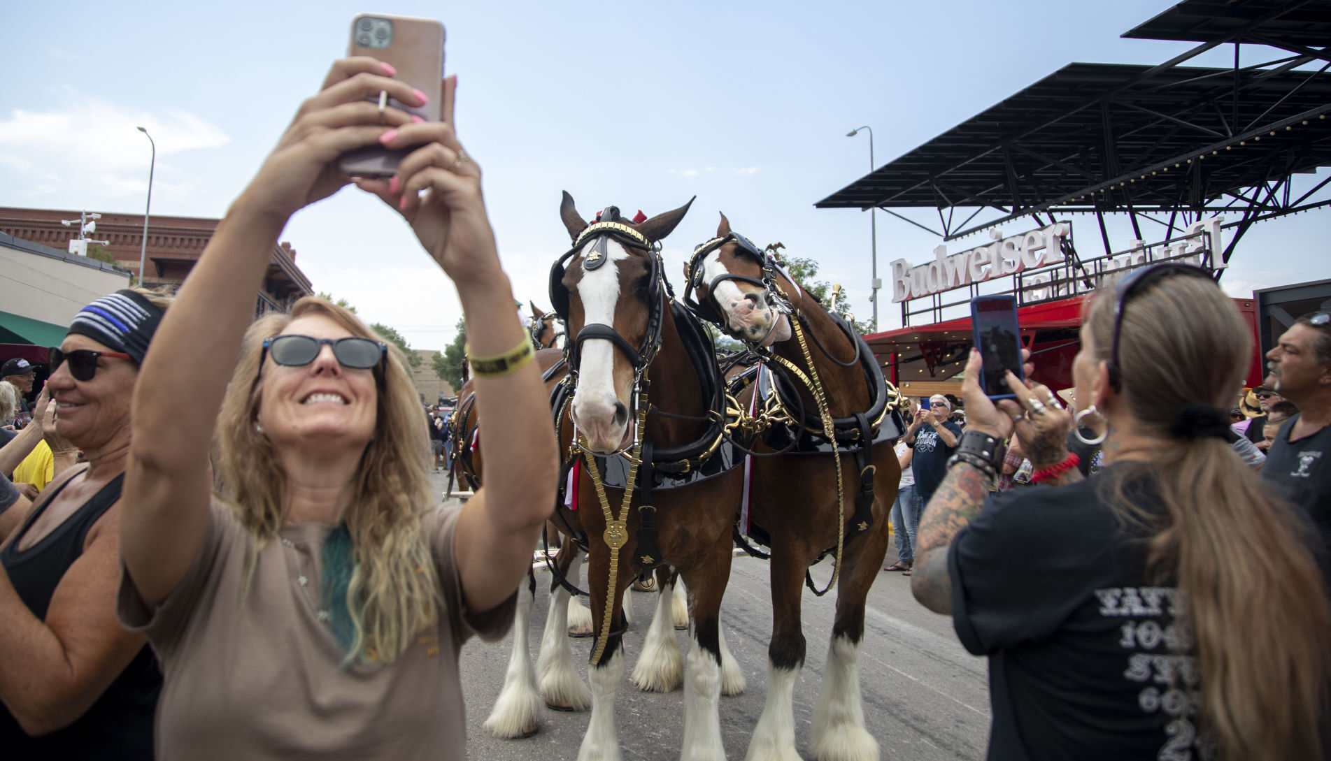 Horses-crowd-photos
